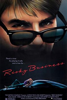 Riskli İş (1983) izle