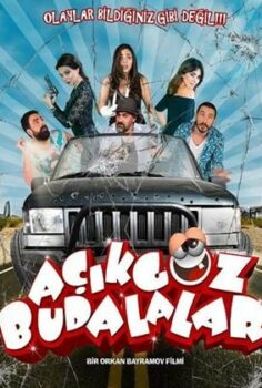 Açıkgöz Budalalar (2018) izle