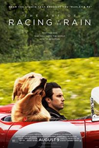 Enzo: Yağmurda Yarış Sanatı The Art of Racing in the Rain 2019 izle