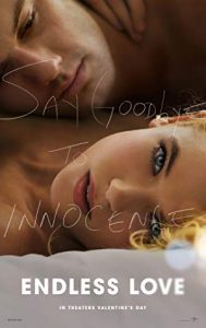 Endless Love (Sonsuz Aşk) 2014 izle