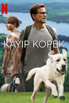 Kayıp Köpek (2023) izle