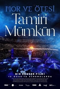 Tamiri Mümkün (2023) izle