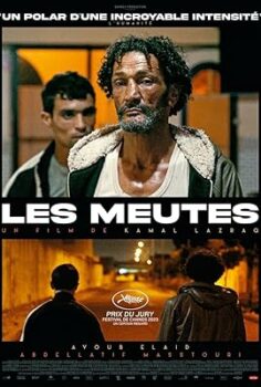 Av köpekleri (Hounds) izle