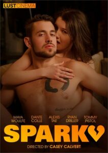 HAYATININ AŞKINI ARAYAN KIZ SPARK 2024 izle