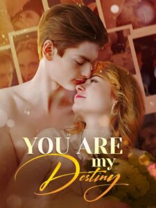 You Are My Destiny izle