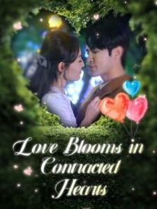 Love Blooms in Contracted hearts izle