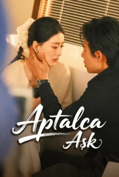 Aptalca Aşk izle