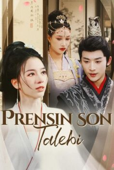 Prensin son Talebi izle