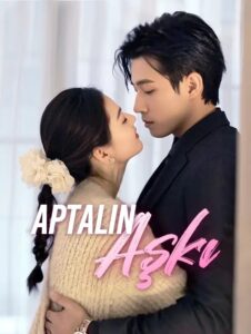 Aptalın Aşkı izle