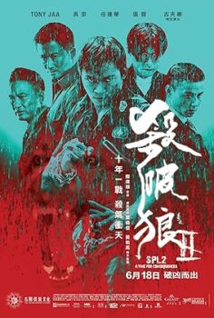 Kill Zone SPL 2: A Time For Consequences 2015 izle
