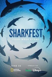 Attack Of The Red Sea Sharks