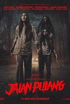 Jalan Pulang