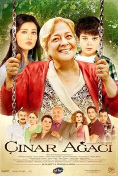 Çınar Ağacı