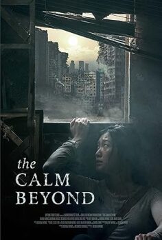 The Calm Beyond 2020