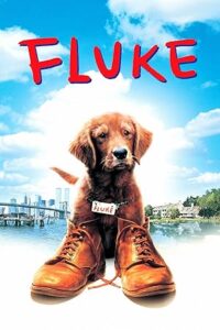 Şanslı Fluke 1995