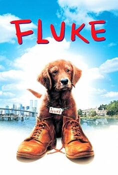 Şanslı Fluke 1995
