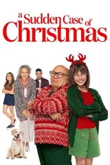 Yaz Ortasında Noel A Sudden Case Of Christmas 2024