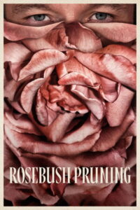 Rosebush Pruning Gül Çalısı Budama 2026