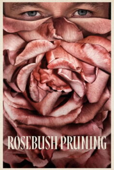 Rosebush Pruning Gül Çalısı Budama 2026